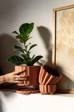 Maceta Doric terracota - comprar online