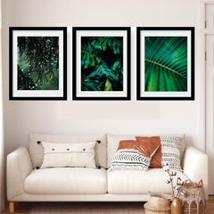 Trio de quadros - Amazônia - Amotha moldura preta