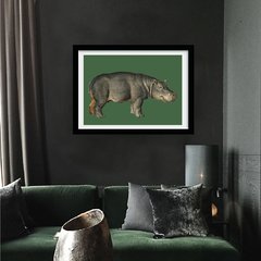 Quadro- Animais Vintage - Hipopótamo