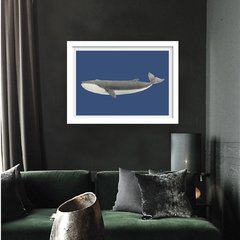 quadro vintage baleia azul moldura branca