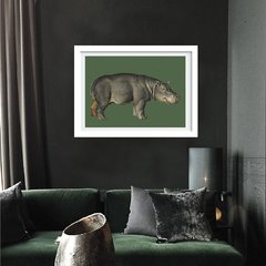 Quadro- Animais Vintage - Hipopótamo - comprar online