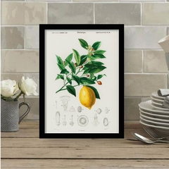 Quadro decorativo Black Week Cozinha 32