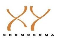 Camiseta Térmica Hombre Xy Cromosoma Algodón Lycra Art 4000 - tienda online
