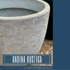 ANDINA RUSTICA