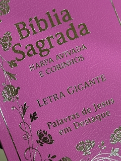 BÍBLIA LETRA GIGANTE - comprar online