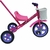 Triciclo niños de caño con barral - tienda online
