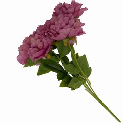 Ramo de Peonias x 5 flores - largo 49 cm - comprar online