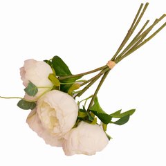 Atado peonias cantidad 6 flores en el ramo - comprar online