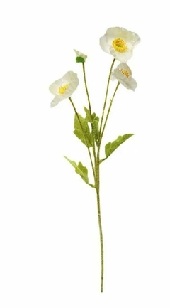 Ramo Crisantemo blanco