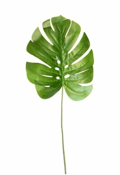 Vara Monstera 70cm - comprar online