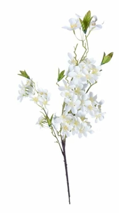 Vara flores blancas