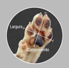 Sapato Antiderrapante Botinha Para Cachorro Tamanho 06 - comprar online