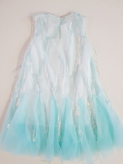 Frozen dress on internet