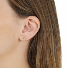 18K Gold Horse earrings on internet