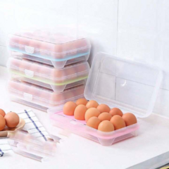 CAJA PORTA HUEVOS