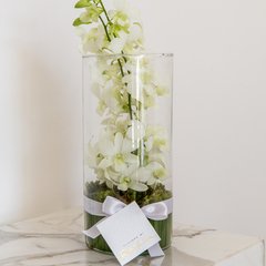 Cilindro com orquídeas internas