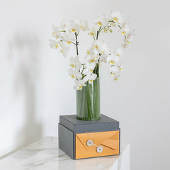 Caixa com Envelope com Mini Orquídeas