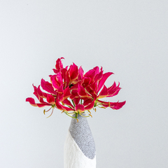 Garrafa Bicolor com Gloriosa - comprar online