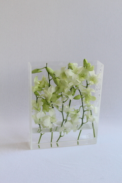 White - Acrilico com Denphalis - Flowers by Ruth Hakim