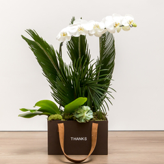 Bolsa com orquídea plantada