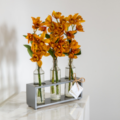 Trio de Garrafas com Cymbidium