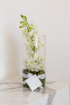 Cilindro com orquídeas internas - comprar online