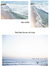 Cuadros "La playa y el mar" - tienda online
