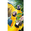 Toalha de Praia Resort Aveludada - 100% Algodão - 76cm x 1,52m - Mult Macaws - Buettner