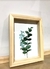 Botanicos 2 - Tienda Online | AvenayMielDeco | Cuadros modernos y laminas decorativas