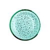 Plato aguamarina con estrella verdes x 8