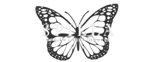 Spilla Handmade Lingerie 