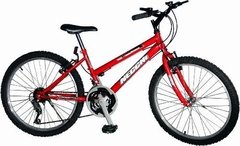 Bicicleta De Dama R 24 Mountain Bike Mtb 18 Vel Necchi - comprar online