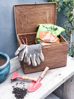 CAJAS DE RATTAN CON TAPA