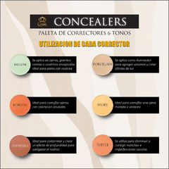 CONCEALERS - PALETA DE CORRECTORES DE 6 TONOS - Crazy Queen