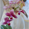 Orquideas - comprar online