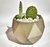 Maceta 3d Cactus Suculentas Souvenirs