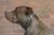 Herm Sprenger Prong Collar 3.0mm - Educação Canina