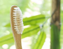 Cepillo de dientes ecológico de bambú en internet