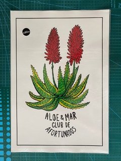 Lamina Aloe