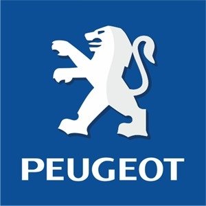 Cuna De Motor (Bastidor) Peugeot 206 Nueva - comprar online