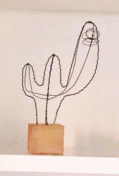 Cactus de Alambre