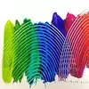 Pintura Dáctilo Colores Puros x 6 + 1 Pincel - Colorearte - tienda online