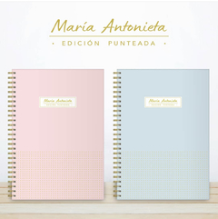 CUADERNO LETTERING PUNTEADO A4 edición limitada 90 hojas en internet