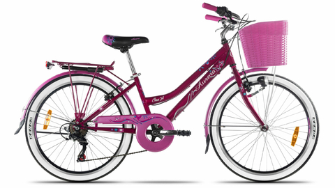 Bicicleta aurorita online