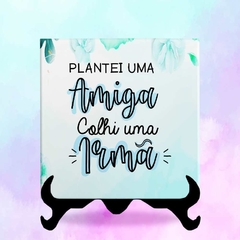 Azulejos frases - loja online