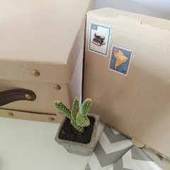 Caja Contenedora "Juntos a la par"