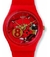 SWATCH GR166