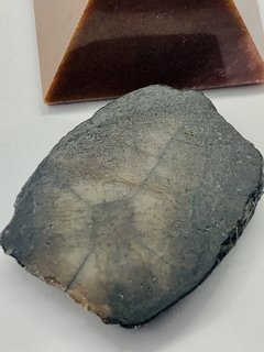Pedra Cruz ou Quiastolita 46g - CristalMagia
