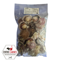 OSTION DEL NORTE MEDIA CONCHA CON CORAL CONGELADO (1KG)