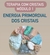 Terapia com Cristais - módulo 1 - A Energia Primordial